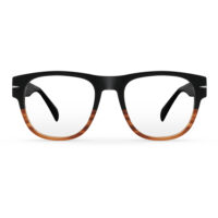 Black Tortoise