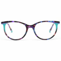 Purple Tortoise