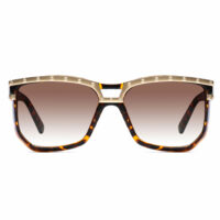 Gradient brown
