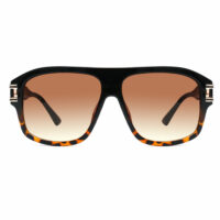 Black-Tortoise
