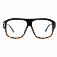 Black-Tortoise