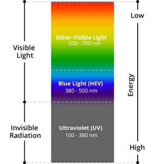 Blue Light Facts: Is Blue Light Bad For Your Eyes?