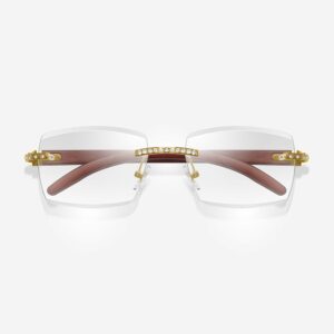 Adonis big glasses frame