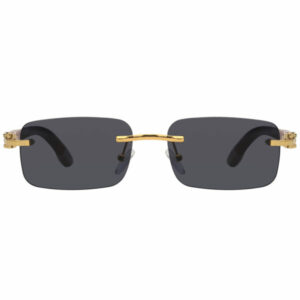 Paxton S prescription sunglasses