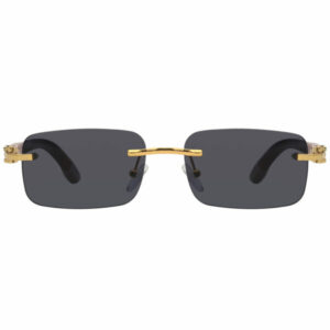 Paxton S prescription sunglasses