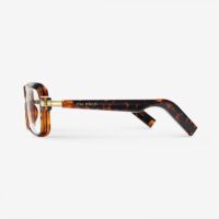 Smart Audio Glasses-Peter-Tortoise
