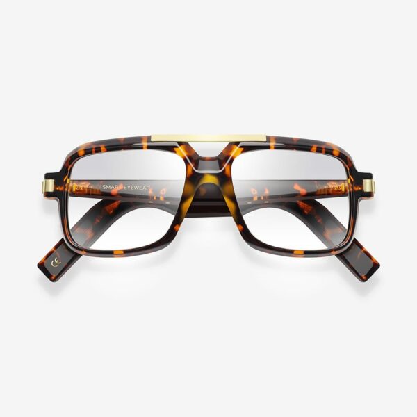 Smart Audio Glasses-Peter-Tortoise