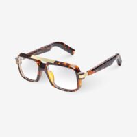 Smart Audio Glasses-Peter-Tortoise