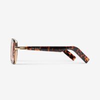 Smart Audio Glasses-Andrew